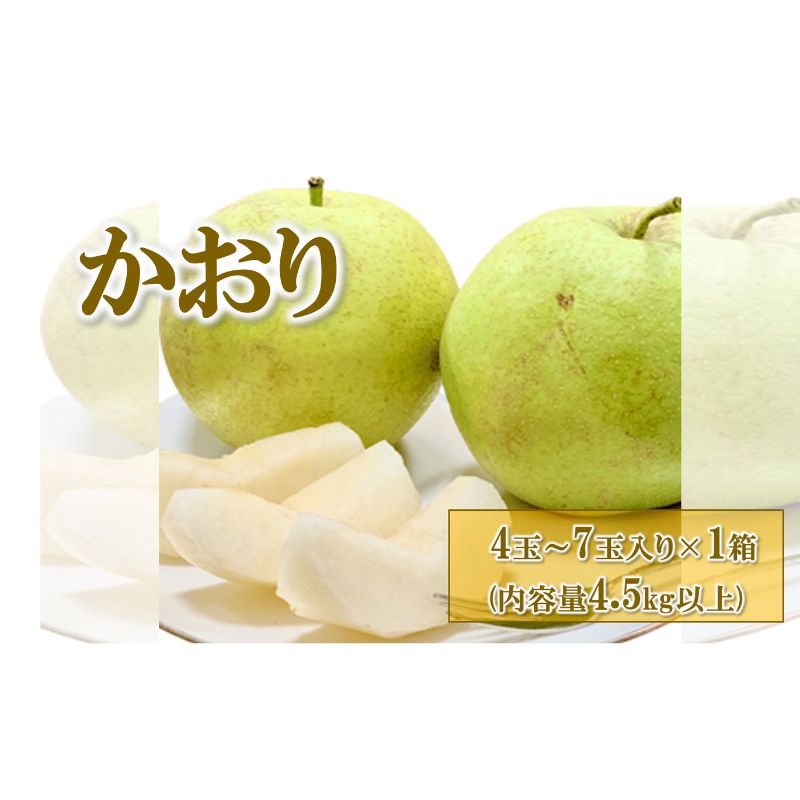 【ふるさと納税】【先行予約】梨(かおり) 4玉～7玉入り×1箱 (4.5kg以上) ※2025年9月上旬～9月下旬頃に順次発送予定