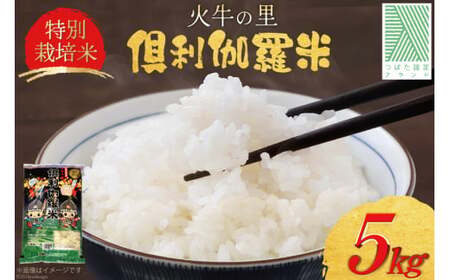 米 火牛の里 倶利伽羅米 (特別栽培米) 5kg×1袋 [JA石川かほく 石川県 津幡町 28ab0017]