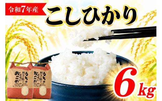 令和7年産 米 コシヒカリ 6kg (3kg×2) 精米 白米 6kg 7年産 お米 おこめ ご飯 ごはん こめ コメ kome ライス らいす こしひかり 10000円 1万円 備蓄 防災 お弁当 美味しい 国産米 産地直送 送料無料 国産 千葉県産 ふるさと納税 千葉県 旭市  smd001