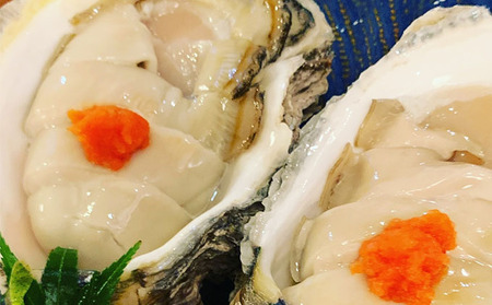 職人漁師が採る天然"茂牡蠣”小中サイズセット4kg（合わせて12～14個） 魚貝類 生牡蠣 かき カキ 