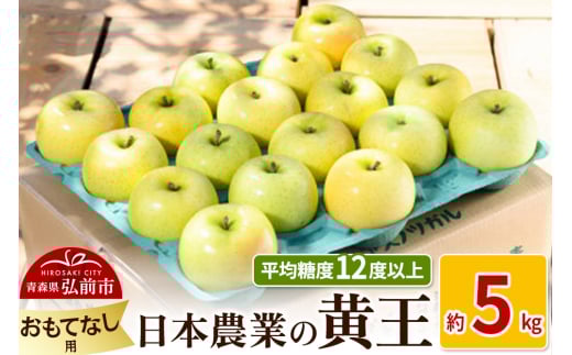 りんご 【先行受付】平均糖度12度以上！ 黄王 約5kg おもてなし用 クール便