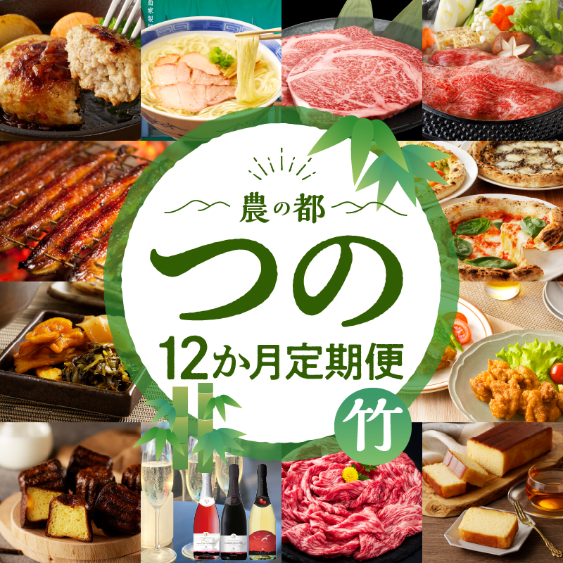 ≪12か月お楽しみ定期便≫都農町定期便(竹) _T999-0091【肉 加工品 デザート 国産 人気 ギフト 食品 自家製 簡単調理 贈り物 お土産 送料無料 プレゼント】