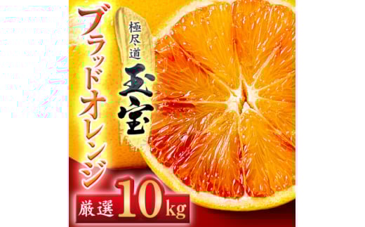＜愛媛名産＞玉宝ブラッドオレンジ(タロッコ)　10kg＜H64-67＞【1621809】