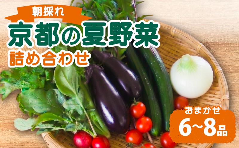 
                  《6月～9月発送》 期間限定 京都 朝採れ 夏野菜セット おまかせ 6～8種（野菜セット 野菜 詰め合わせ 京野菜 京都 なす コーン ミニトマト きゅうり 野菜 夏野菜 おまかせ 栽培 季節限定 ）
                