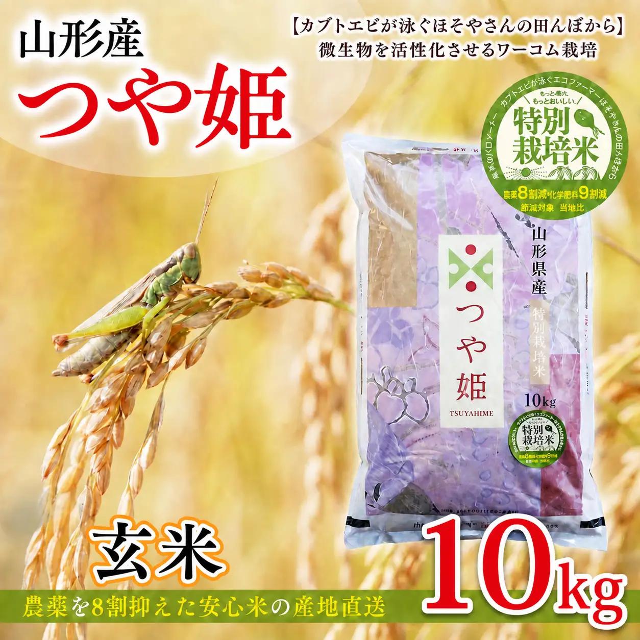 令和7年度産 山形産 「つや姫」10kg (玄米) 特別栽培米 8割減農薬・9割減化学肥料（当地比）【カブトエビが泳ぐほそやさんの田んぼから】微生物を活性化させるワーコム栽培 FY26-270