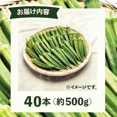 ふるさと納税 大館市 トロッとおいしいオクラ＜40本、約500g＞ |  | 02