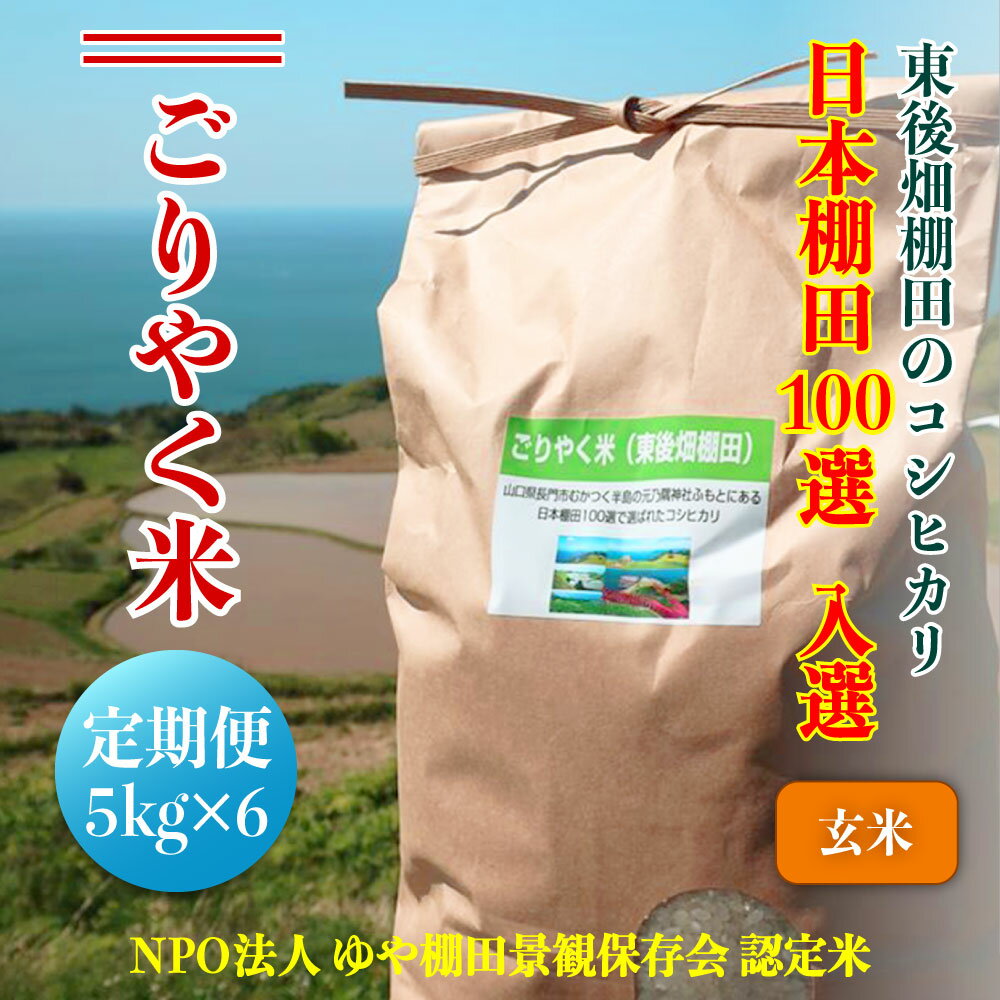 【ふるさと納税】 予約受付 令和7年度産 ごりやく米 東後畑棚田こしひかり 玄米 白米 1ぶづき米 無洗米 5kg～10kg 定期便 年6回 隔月配送 棚田米 長門市 コシヒカリ こしひかり 発送9月下旬から