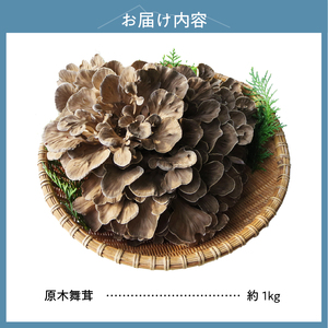 【令和8年産先行予約】 増富天空の舞茸　原木まいたけ　約1kg [h192]