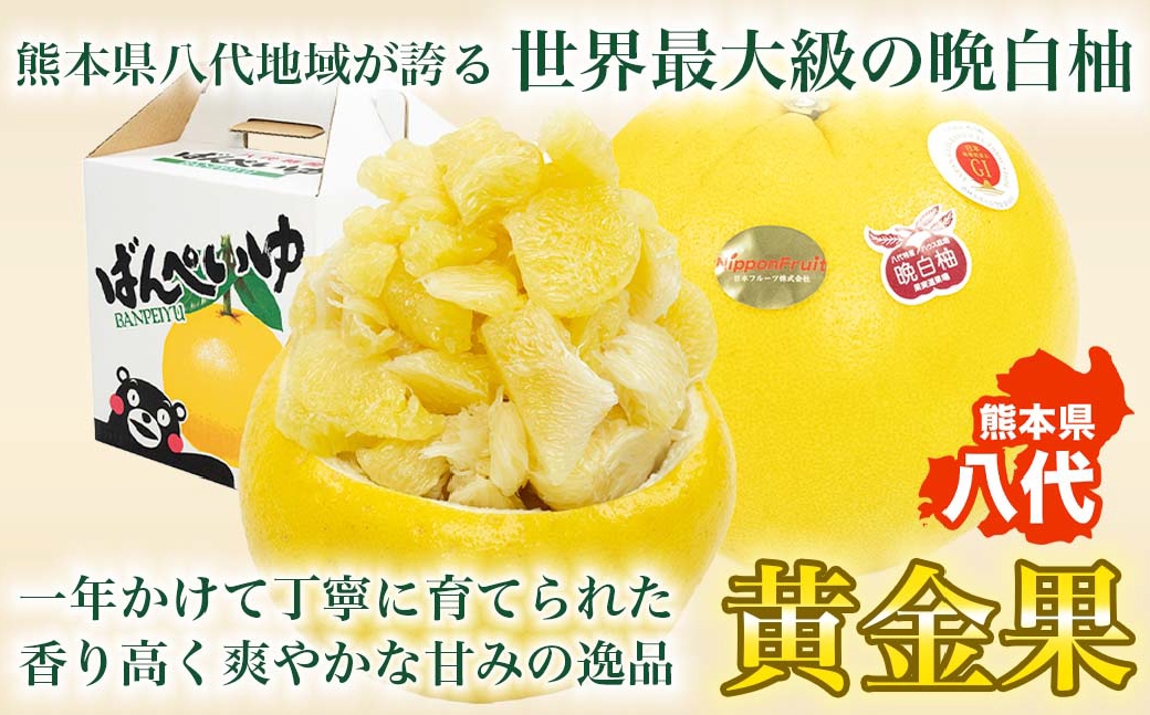 晩白柚2Lサイズ2玉約4kg