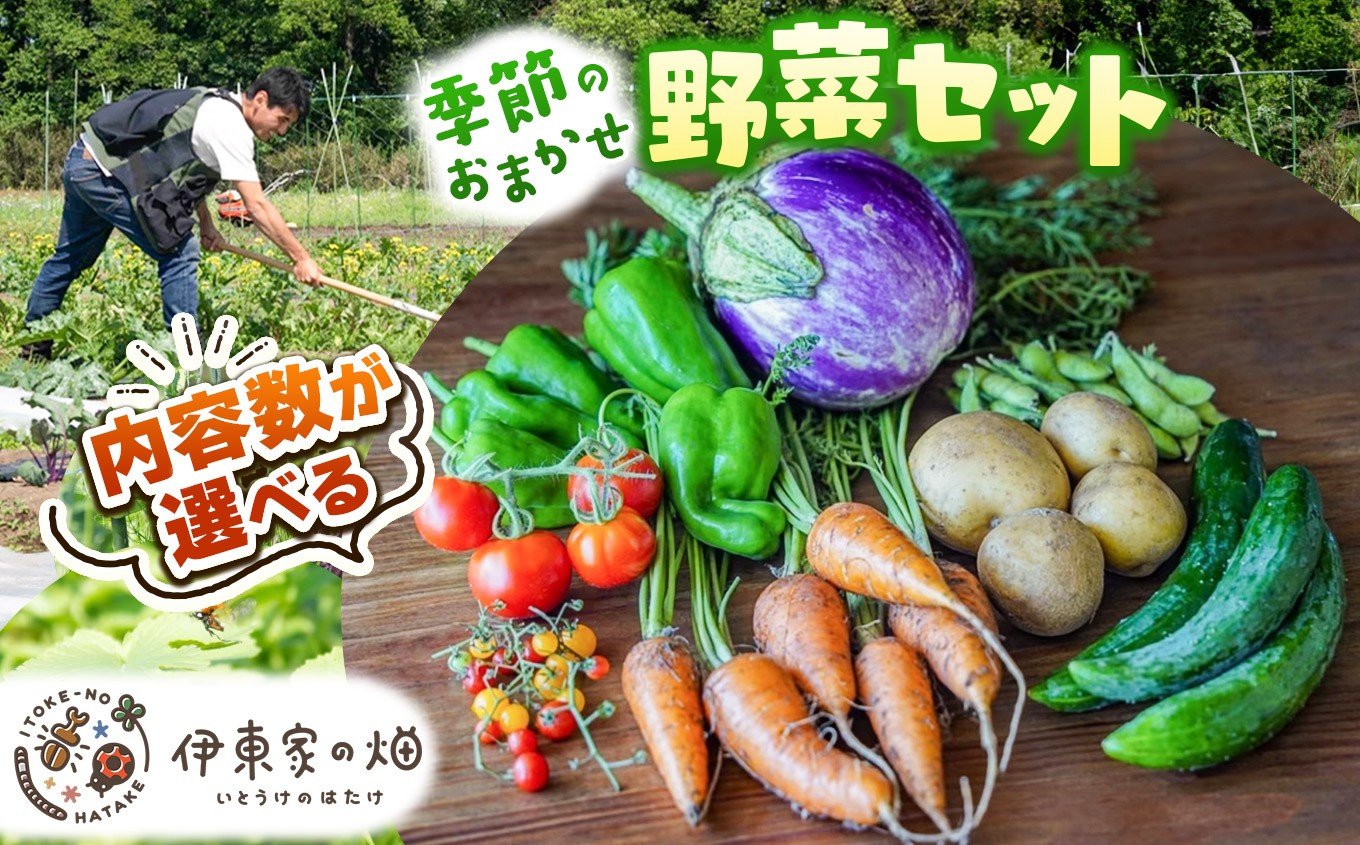 
                  【選べる内容量】野菜セット(3~12品種) | 下野市 旬野菜 詰め合わせ 野菜セット 地元野菜 栃木県産 新鮮野菜 産地直送 野菜通販 季節野菜 地場野菜 お取り寄せ 下野市野菜 野菜詰合せ 農薬・化学肥料・動物性肥料不使用 地元農家 栃木野菜 栃木県 下野市
                
