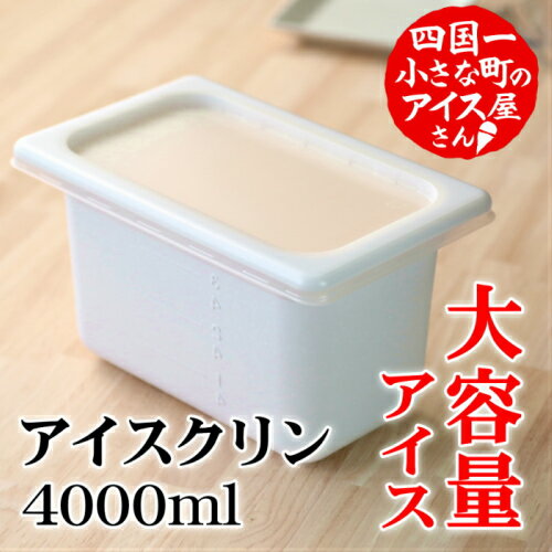 【ふるさと納税】四国一小さなまちのアイス屋さん≪松崎冷菓≫ 大容量アイス4000ml★アイスクリン★　アイスクリン アイス 氷菓 4l 4000ml 業務用 4リットル 大容量 スイーツ デザート おすすめ 美味しい お取り寄せ 冷凍 家庭用 高知県 故郷納税 返礼品 高知 田野町