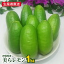 【ふるさと納税】生産者直送　沖縄県産美らレモン1kg　種なし