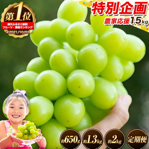 岡山県産 シャインマスカット 約1.2kg 2房 葡萄 果物 訳あり 優品 スイーツ フルーツ デザート 岡山県矢掛町《3-10営業日以内に出荷(土日祝除く)》