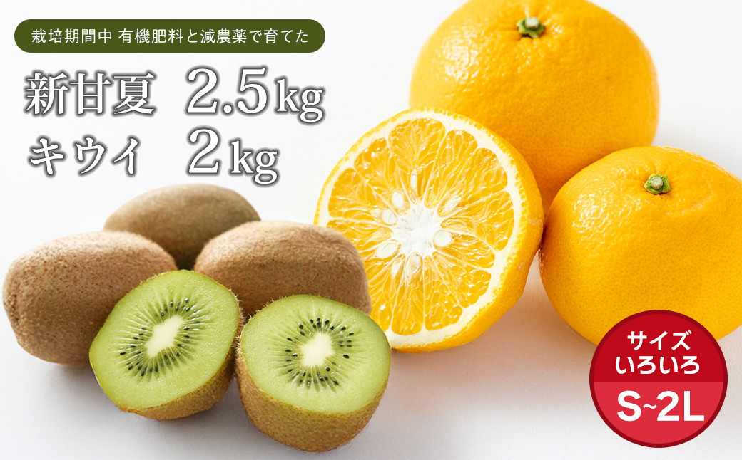 
片山農園の淡路島産新甘夏2.5kgとキウイ2.0kg【サイズいろいろS～2Lサイズ】【発送時期2025年2月頃~5月頃】
