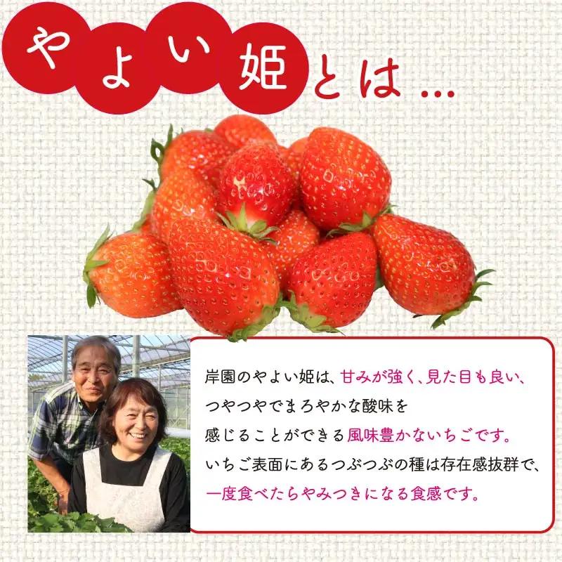 いちご やよい姫約920g 2027年1月～4月発送いちご