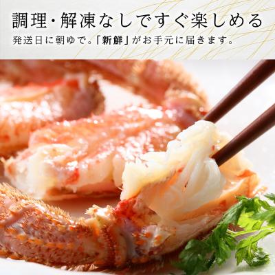 ふるさと納税 千歳市 北海道産【朝ゆで】毛ガニ(450g前後)1尾 期間限定!≪かにのマルマサ≫ |  | 01