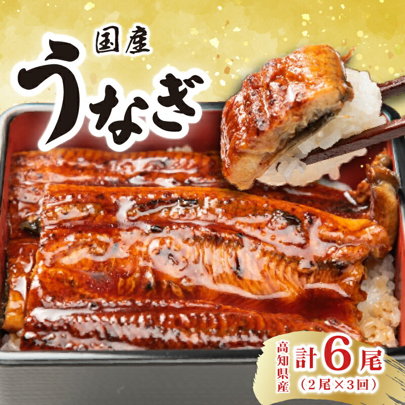 【ふるさと納税】 定期便 うなぎ 蒲焼き 2尾 3回 特製たれ 高知県産 国産 ウナギ 鰻 土用の丑の日 スタミナ食 タレ付き 贈答用 グルメ お取り寄せ 夏バテ対策 有名店 産地直送 国内養殖 タウナギ 安芸市 高知県