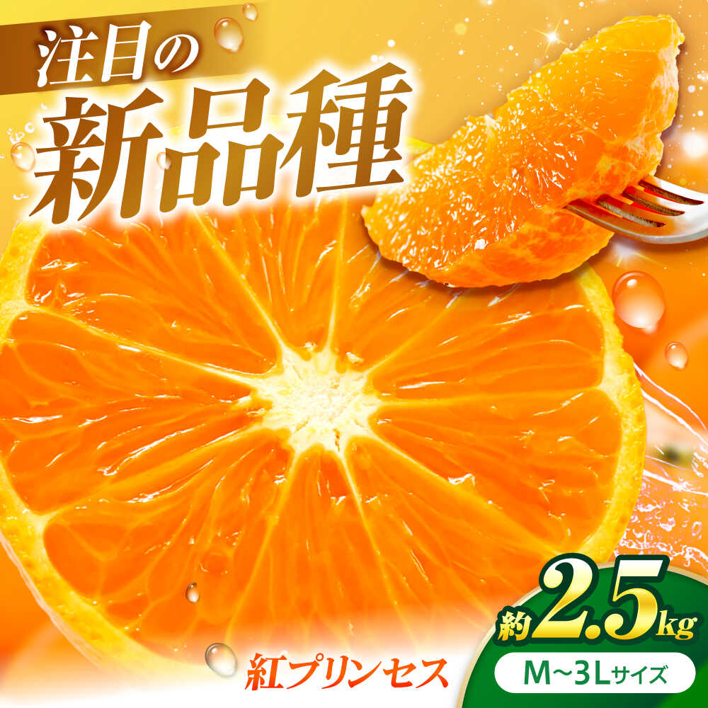 【ふるさと納税】紅プリンセス 愛果48号 2.5kg M-3Lサイズ【3月中旬から3月下旬まで順次発送 】 / フルーツ 果物 蜜柑 ミカン オレンジ 甘い 先行予約 約 3kg 愛媛 果肉 果汁 果実 詰め合わせ 人気 おすすめ / 愛媛県砥部町/株式会社フジ・アグリフーズ[BJBI002]