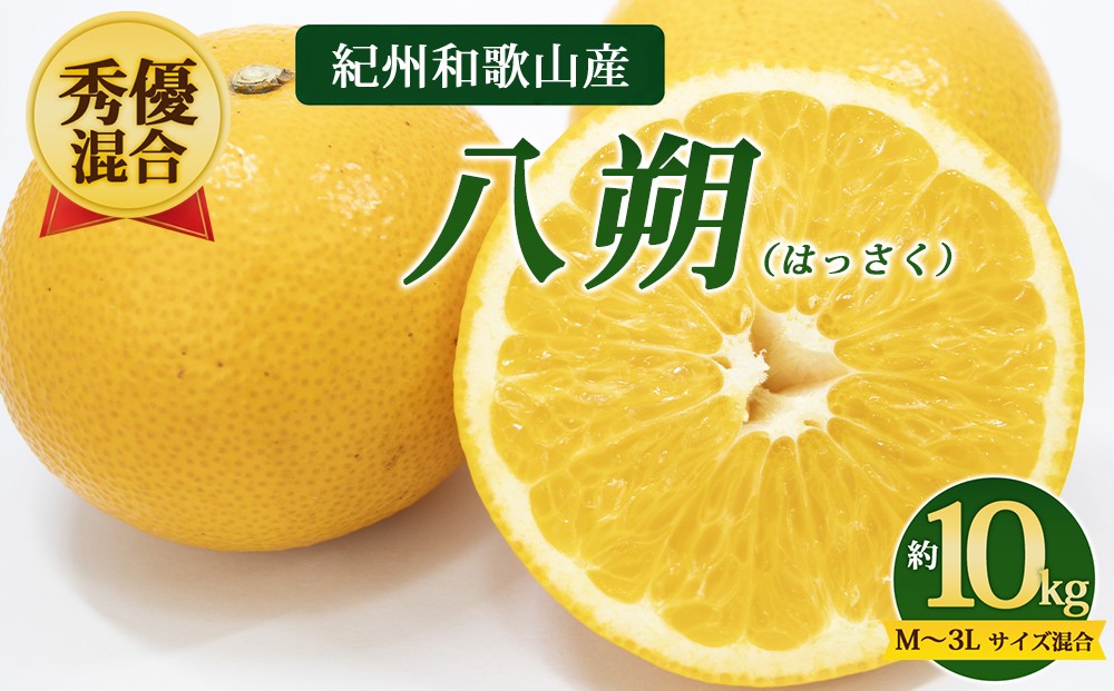 
                  【先行予約】【秀優混合】紀州和歌山産 八朔（はっさく）約10kg（箱込み）M～3L サイズ混合
                