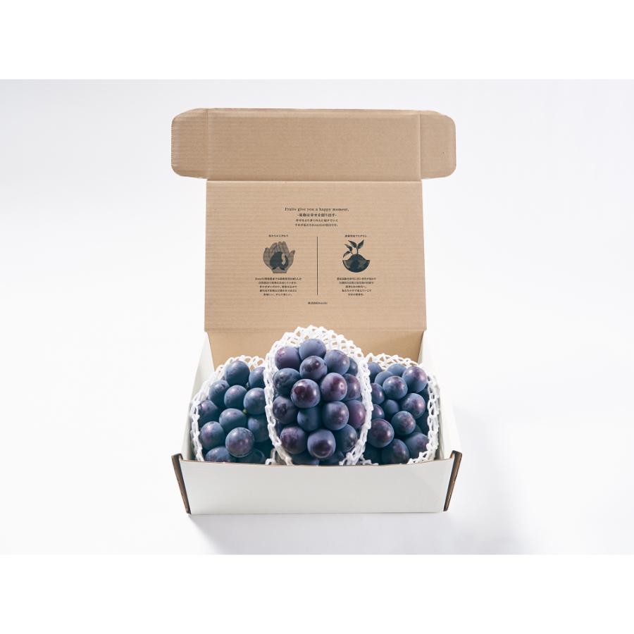 ＜Bonchi＞甲州市産 種無し大粒ピオーネ3房入り　1.6kg 自然農法