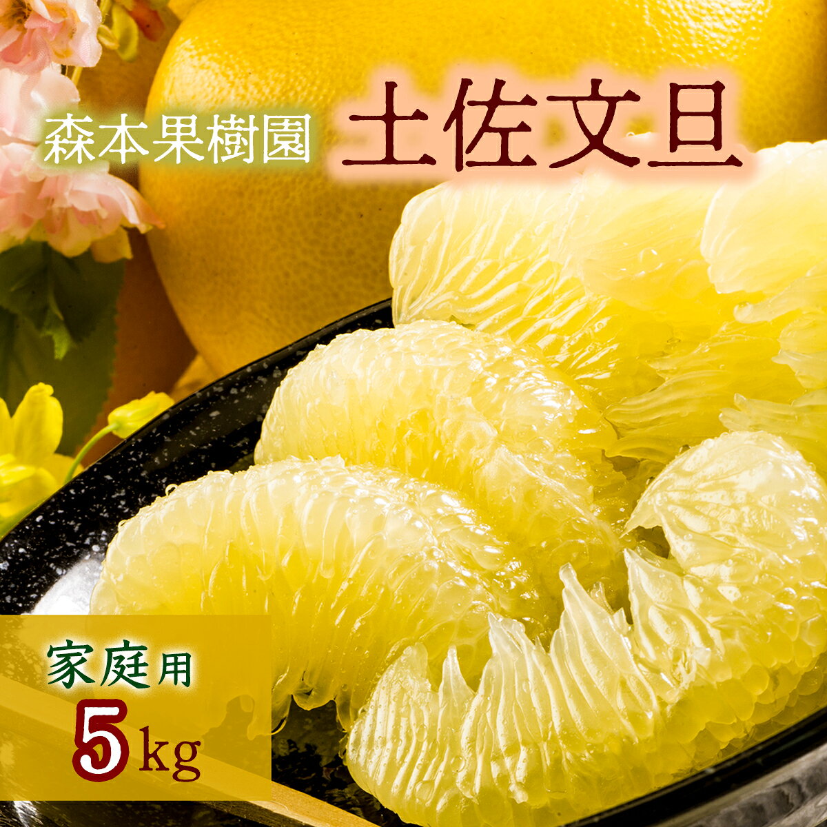 【ふるさと納税】土佐文旦家庭用5kg（森本果樹園）柑橘 フルーツ 高知産 産地直送 特産品 産地直送 送料無料 数量限定 美味しい おすすめ 3月