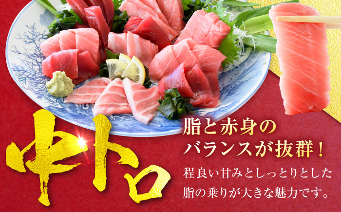 天然 本まぐろ 中トロ（約200～250g（1柵入り））【横須賀商工会議所 おもてなしギフト事務局（本まぐろ直売所 横須賀本店）】 [AKAK118]