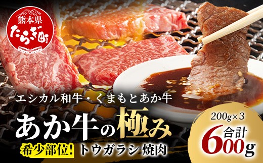 【エシカル和牛】くまもとあか牛【あか牛の極み】 希少部位 トウガラシ 焼肉 200g×3 (計 600g) 希少 赤身 カタ とうがらし 熊本 あか牛 牛肉 小分け 焼肉 バーベキュー 和牛 国産 SDGs 033-0516