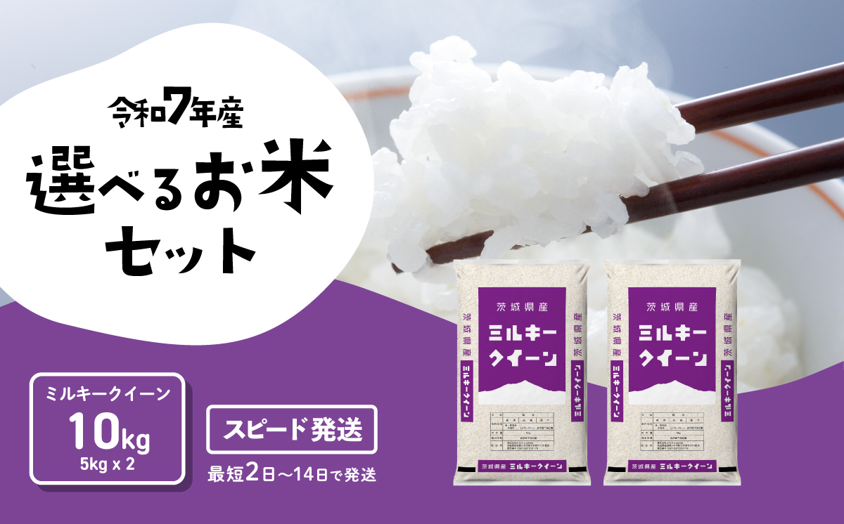【スピード発送】ミルキークイーン 10kg 令和7年産 茨城県産 白米 精米 茨城県 お米 米 [SF398yai]