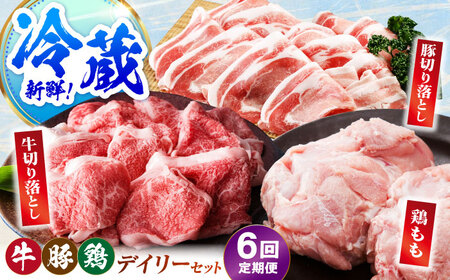 【冷蔵発送】【全6回定期便】三栄のデイリーセット＜ 牛 豚 鶏 ＞【肉の三栄】 佐賀牛 切り落とし 豚 ありたどり 牛肉 豚肉 鶏肉[HAA201]