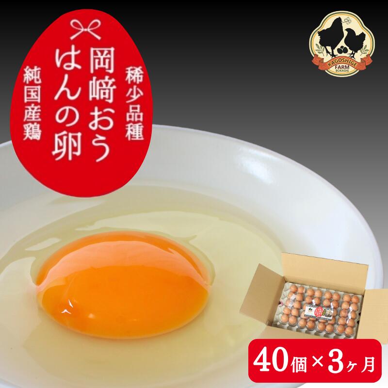 【ふるさと納税】【3カ月定期便】希少品種　岡崎おうはんの卵 40個×3回【冷蔵配送】 / 田辺市 卵 たまご 有精卵 純国産鶏 鶏卵 平飼い お取り寄せ 卵かけごはん 和歌山県
