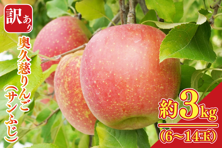 
            【先行予約】【訳あり】樹上完熟の奥久慈りんご「サンふじ」約3kg（6～14玉）【2025年11月上旬頃発送予定】不揃い 規格外 傷あり 色むら 家庭用｜斉藤りんご園第2直売所 茨城県 大子町 林檎 果物 フルーツ 旬（CG010-1）
          