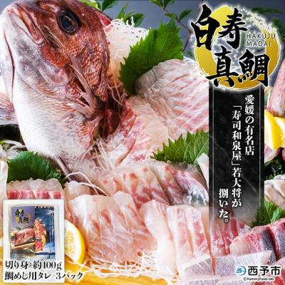 ふるさと納税 西予市 <愛媛の有名店「寿司和泉屋」若大将が捌いた「白寿真鯛」と秘伝のタレ>　鯛めし　郷土料理　海鮮　魚介