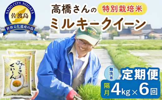 【定期便 令和8年産新米 全6回】 佐渡島産ミルキークイーン 無洗米 4kg（2kg×2袋） 令和8年産新米 特別栽培米 高橋農園 | 新潟県産ミルキークイーン 佐渡産ミルキークイーン ミルキークイーン お米 米 無洗米 むせんまい 精米 おこめ コメ 4キロ にいがた さど 新潟県 佐渡市