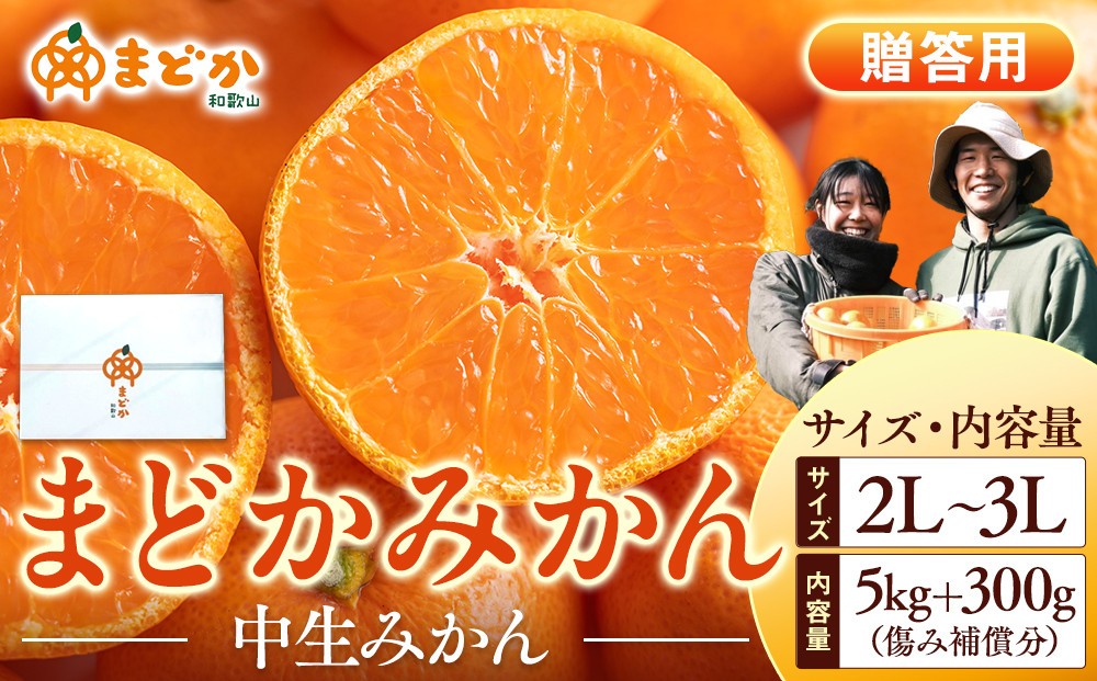 
                  ［先行予約］［贈答用］冬採れみかん（中生みかん）2L〜3Lサイズ混合 5kg＋300g（傷み補償分）［2025年11月下旬より発送］
                