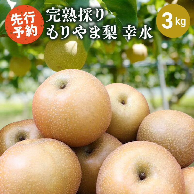 【ふるさと納税】完熟採り 梨 幸水 3kg もりやま梨 【2025年8月中旬お届け】 生産農家直送 旬 果物 フルーツ お取り寄せ お取り寄せフルーツ 冷蔵 国産 送料無料 食品 滋賀県 守山市