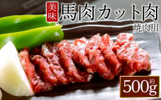 馬肉焼肉用500gカット済　桜屋 馬肉 人気 美味しい オススメ 肉 冷凍 焼くだけ 焼肉 焼肉用 ヘルシー ふるさと納税 熊本県 阿蘇市