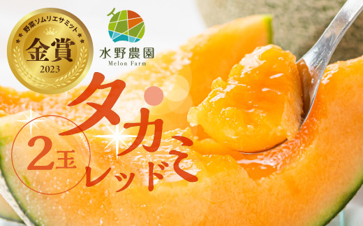 【先行予約】2027年6月発送　水野農園産タカミレッド　２玉