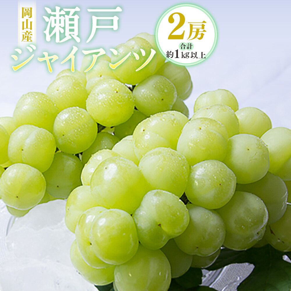【ふるさと納税】岡山産 瀬戸ジャイアンツ 2房（1房480g以上） 合計約1kg 化粧箱入り ぶどう ブドウ 葡萄 果物 くだもの フルーツ 種なし 大粒 高糖度 冷蔵 お取り寄せ 国産 岡山県 奈義町 送料無料 【2025年9月上旬～10月上旬迄発送予定】
