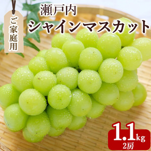 【ふるさと納税】期間限定 シャインマスカット ご家庭用　2房(約1.1kg)【配送不可地域：北海道・沖縄県・離島】