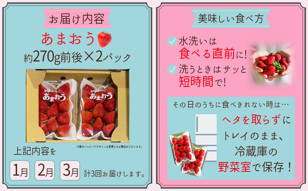 3S20 福岡県産 あまおう約270ｇ前後×２パック 【定期便 全3回】