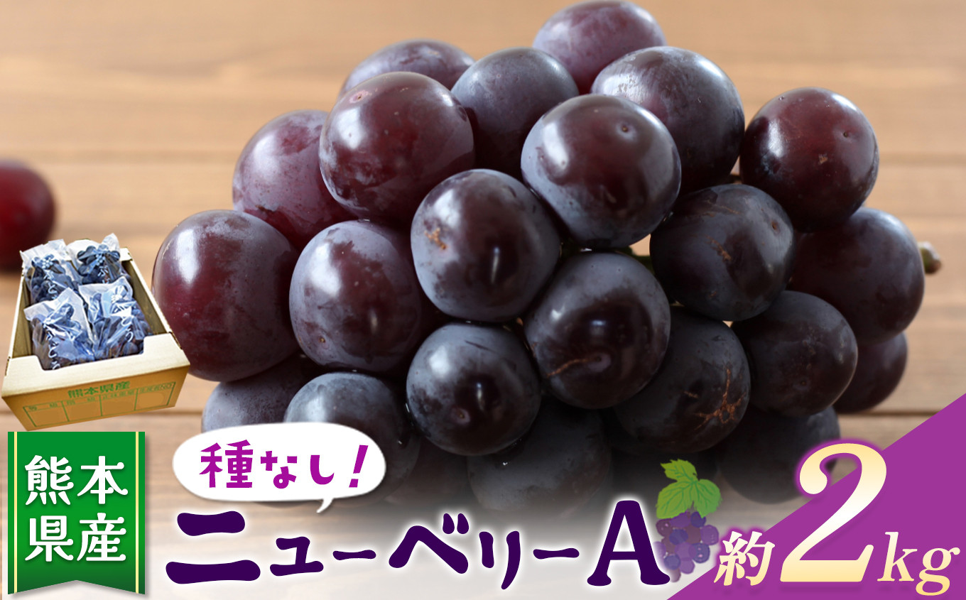 
                  種無し ぶどう ニューベリ―A 約 2kg | フルーツ 果物 くだもの ぶどう ブドウ 葡萄 種なし 熊本県 玉名市 ぶどう 種無 ぶどう ぶどう
                