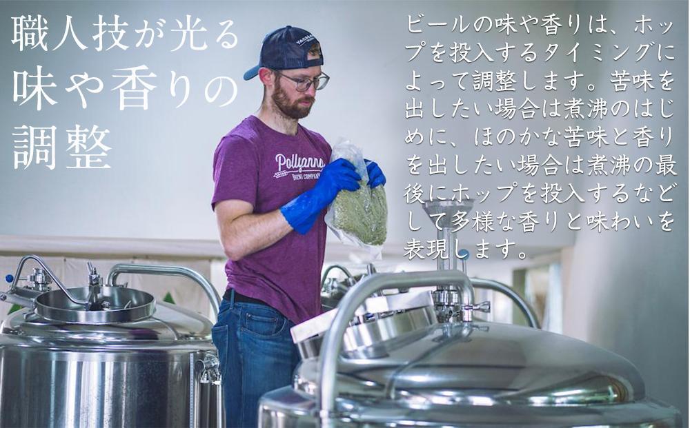 クラフトビール NOMCRAFT IPA 4本セット アメリカンスタイル AY12_イメージ3