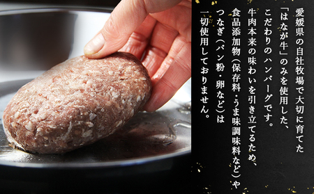 ＜熟成肉 はなが牛ハンバーグ 15個（1個150g）＞ 肉 お肉 牛肉 牛 ビーフ 牛100％ 肉加工品 お惣菜 洋食 おかず 弁当 ランチ ディナー 国産 小分け 個包装 簡単調理 特産品 ゆうぼく