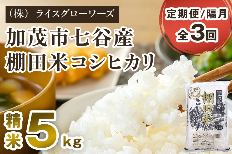 
                  【令和8年産新米先行予約】【定期便3回隔月お届け】七谷産 棚田米コシヒカリ 精米 5kg《10月上旬～順次出荷》 白米 （株）ライスグローワーズ 新潟県 加茂市産 白米 米 お米 定期便
                