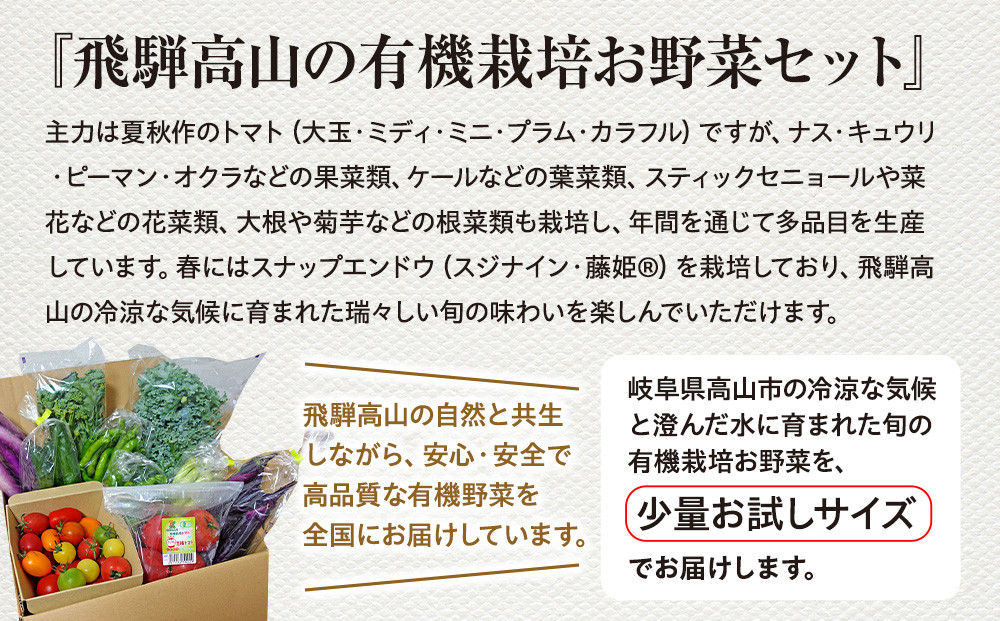 飛騨高山産 季節の有機栽培お野菜セット（お試し）お届け：6月〜10月｜お試し 新鮮  有機野菜 旬野菜 地元野菜 やさい 農園 高山市 山藏農園 JC021
