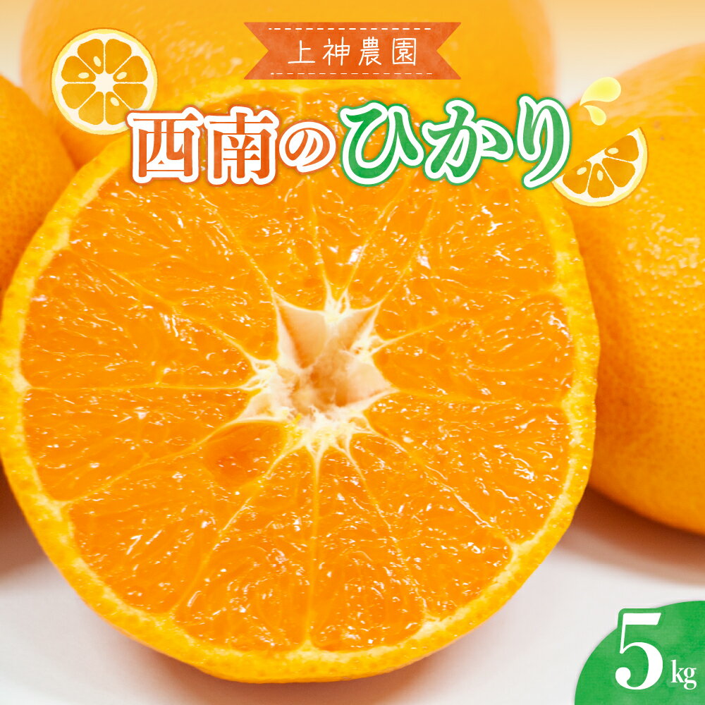 【ふるさと納税】先行予約 上神農園の 西南のひかり 約5kg 【2025年12月上旬～発送】人気 みかん ひかり 柑橘 果物 フルーツ お取り寄せ ジューシー 甘い 糖度高め 2009年 品種 登録 多汁 香り 果汁 果肉 多果汁 甘味 さわやか 健康 広島県 呉市
