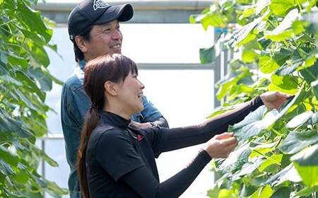 [9～10月発送] 大崎上島産 シャキッと食感！生かじりが美味しいハウス栽培きゅうり約3kg