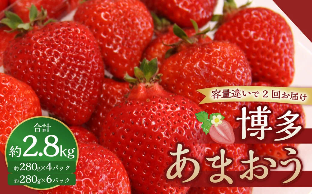 博多あまおうリッチな3回定期便【2025年12月上旬～2026年2月下旬発送予定】 いちご イチゴ 苺 あまおう 大きい 大粒 あまい 甘い 果汁 果物 フルーツ 高級 3.36kg 3360g 福岡