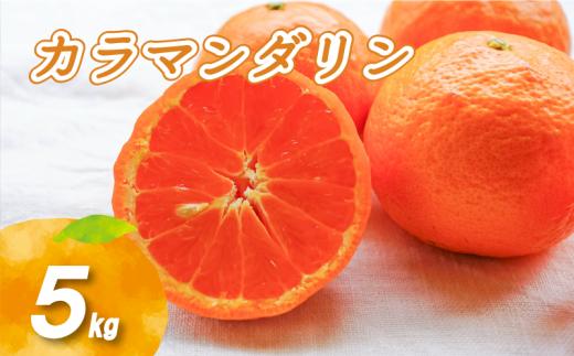 【4月中旬より発送】カラマンダリン 5kg | 数量選択可 みかん ミカン 蜜柑 柑橘 数量限定 愛媛県産 松山市 中島 愛媛 ふるさと納税