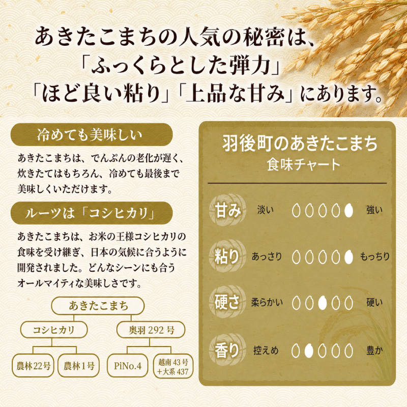 新米 先行予約［令和8年産］定期便 秋田県産 あきたこまち 10kg (5kg×2袋) 全3回 毎月お届け 羽後町産 [藤原商店]【 米 お米 白米 精米 あきたこまち アキタコマチ 定期 定期便 美